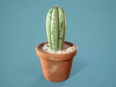 Potted Cactus 3D model