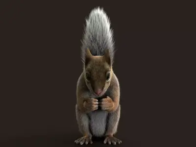 Brown Squirrel Xgen 3D model