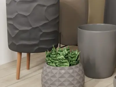 Vases pots and 3 snake plants set 3D model  3D model
