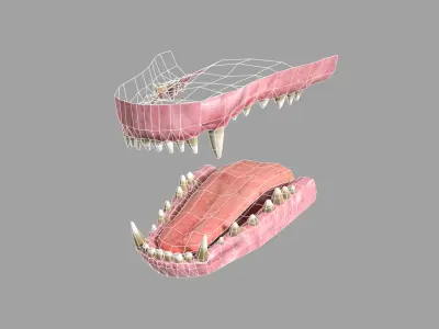 Dog Rigged  Low-poly 3D model