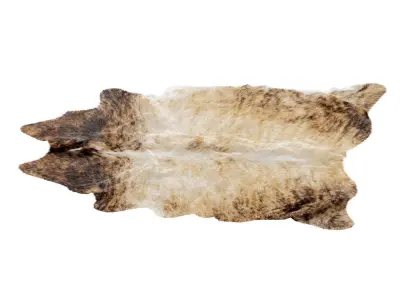 Animal skin rug 05 3D model