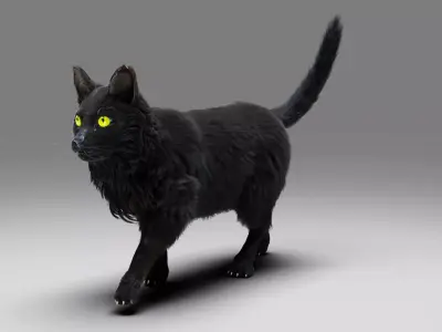 Fur Cat Black NO Rigged Low-poly 3D model