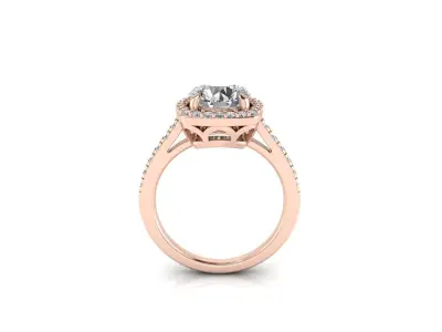 Ring 160 3D print model
