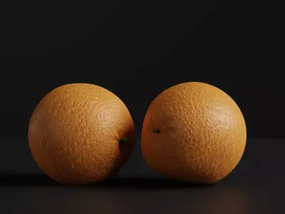 Orange 3d model two oranges 3D model