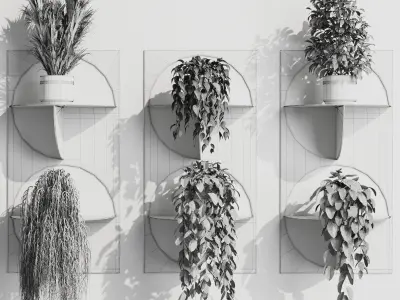 wall plant set Indoor plant 324 plants in on a shelf Low-poly 3D model