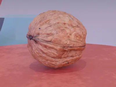 Walnut fruit 06 high-poly 3D model