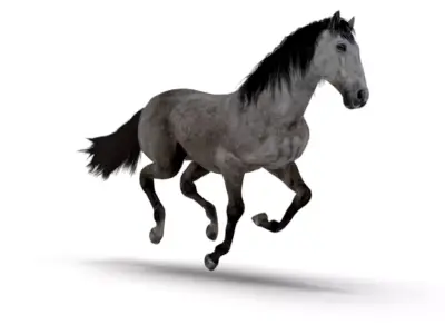 Realistic Animated Gray Horse Low-poly 3D model