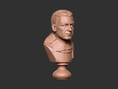 Ernest Shackleton Bust - 3D Print Model 3D print model