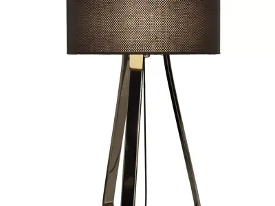 Lily Table Lamp Low-poly 3D model