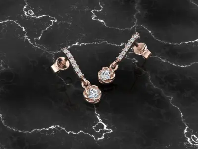 Jewelry Earring 3D print model 16