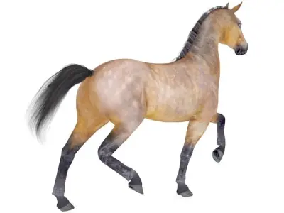 Horse Collection 01 3D model