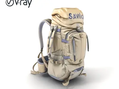 Hiking Backpack Large Capacity Adjustable model pack Low-poly 3D model