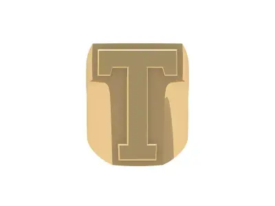 T  Ring 3D print model