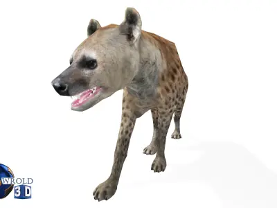 Hyena Rigged Animated Lowpoly 3D Model Low-poly 3D model