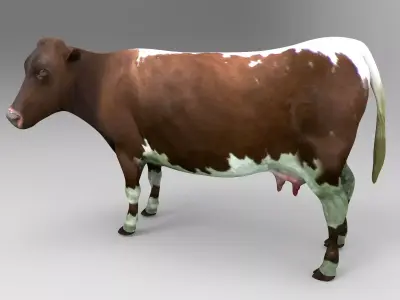 3D Cow Rigged game ready low poly model Low-poly 3D model