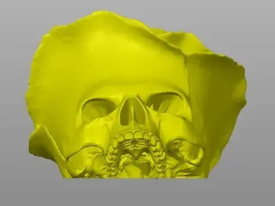 Rose Skull 3D print model