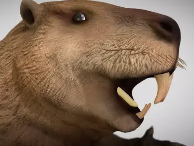 Castoroides The Giant Beaver of the Ice Age Low-poly 3D model