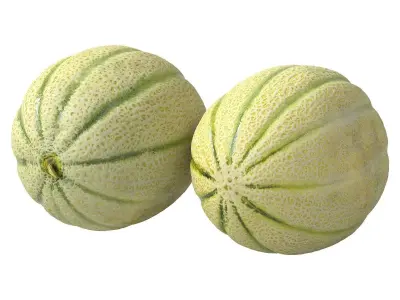 Melon Cantaloupe 3D model