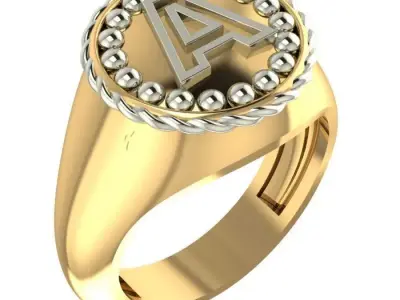 20 pc rings 80 3D print model