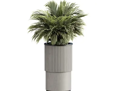 13 High Quality 3D Pot plants 3D model