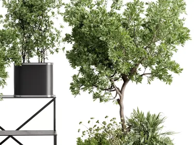 collection Indoor outdoor plant 692 plant stairs stand metal  3D model