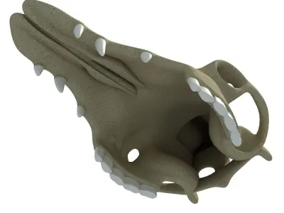 Camel Skull 3D model