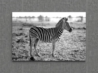 Picture Animals 3D model