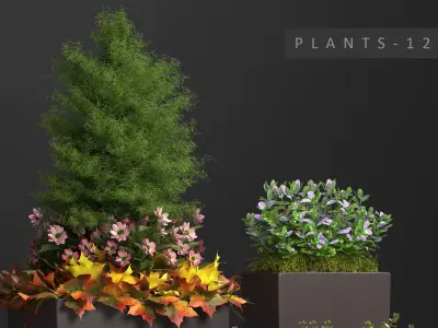 plants set 121 3D model