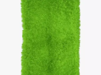 Mongolian fur rug green 3D model