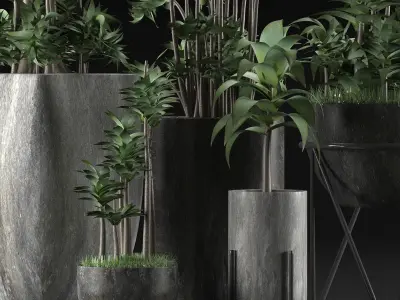 Plants Collection 14 3D model