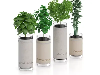 Four Herbs in Glass Pots 3D model