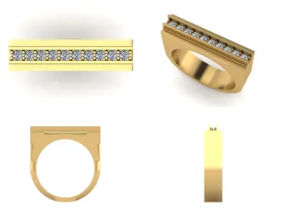 Ring bi 8 3D print model