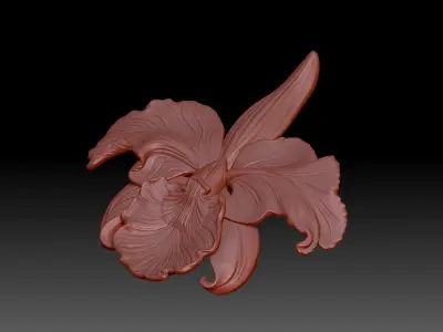 Orchid 3D print model