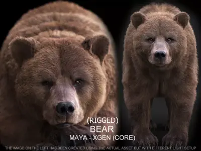 Bear RIG xgen core 3D model