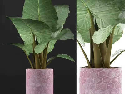Plants Collection 82 3D model