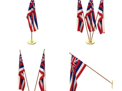 Hawaii Flag Pack 3D model