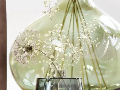 Collection dried plants 3D model