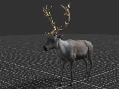 Reindeer  Low-poly 3D model