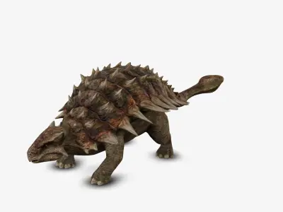 Ankylosaur 3D model