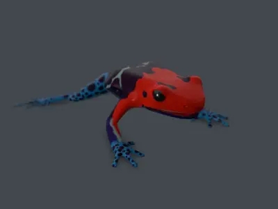 Dart frog Low-poly 3D model
