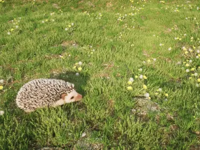 Hedgehog for Vray and Octane 3D model