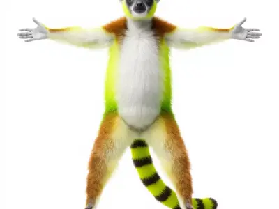 Vibrant Lemur model pack Low-poly 3D model