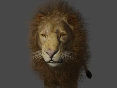 lion with full rig 3D model
