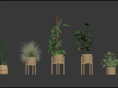 20 Photorealistic Flowers for Interiors - set 201 203 207 211 3D Model Collection