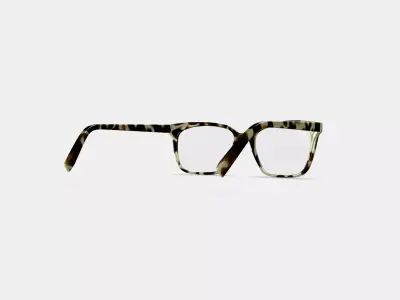 Hughes Eyeglasses in Marzipan Tortoise 3D model