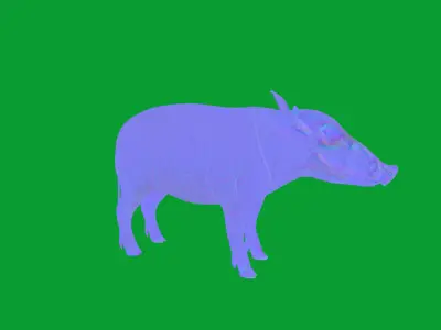 Red River Hog Low-poly 3D model