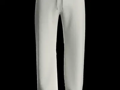 Male sweatpants 3D model