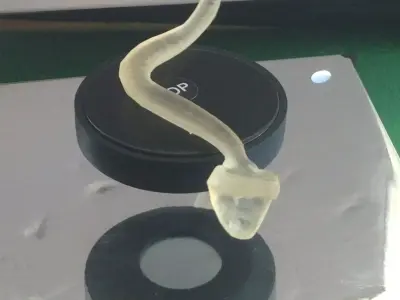 Snake resin and pla printable AAA 3D model