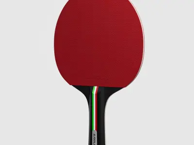 Table Tennis Paddle Low-poly 3D model