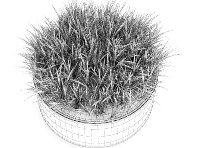 Decorative Grass 3D model